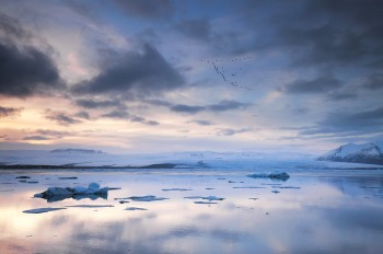 11-Day7-Jokulsarlon-Ice-Lagoon---Flight-of-the-Geese---IMG_5453