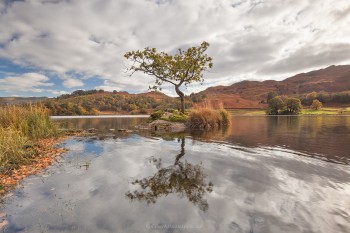 21-10-19-Lone-Tree-Rydal---Natural-IMG_3740