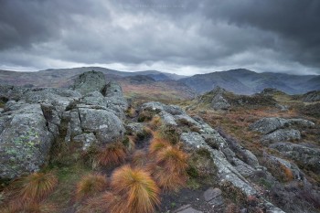 22-10-19-Watendlath-Mountain-Walk---Mountain-Grass-IMG_4212