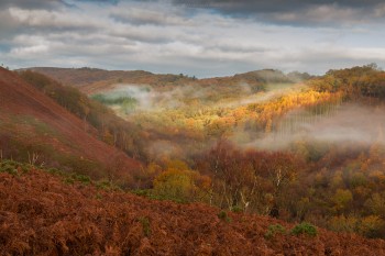 23-11-20-Yarner-Great-Mist-Yellow-Hilights5D3_0617Watermark