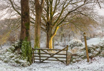 31-12-20-Bridestowe-Snow-Golden-Gate5D3_3577Watermark