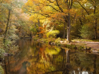 IMG_1184Autumn Fingle Flow flat Indian 16X12 300DPI