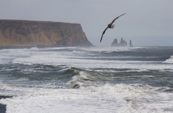 Reynisfjara-Beach-_MG_0233