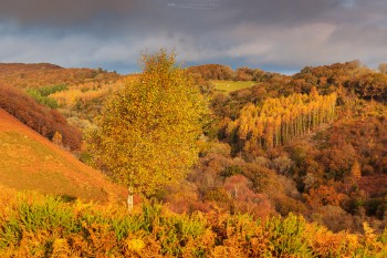 18-11-21-East-Dartmoor-Autumn-Vista-5D3_3989Watermark
